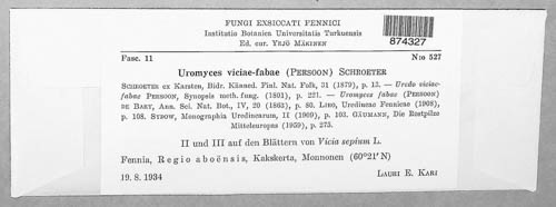 Uromyces viciae-fabae image